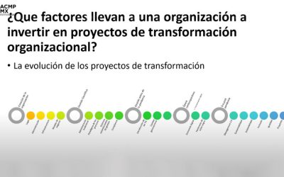 Factores que derivan en la inversión en proyectos de Transformación Organizacional