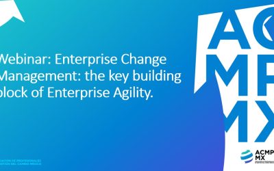 Webinar: Enterprise Change Management: the key building block of Enterprise Agility